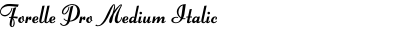 Forelle Pro Medium Italic